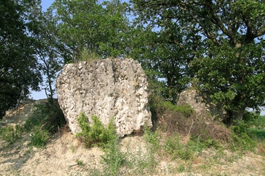 Torre isolata