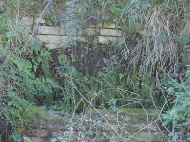 Fonte Porchiettù