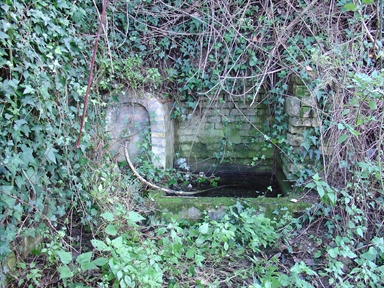 Fonte di Moregnano