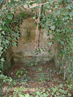 Fonte di Moregnano