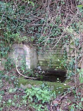 Fonte di Moregnano