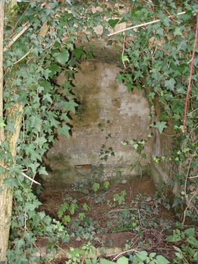 Fonte di Moregnano