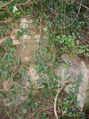 Fonte di Moregnano
