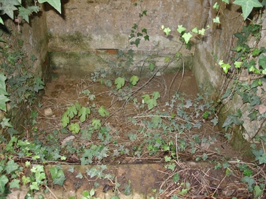 Fonte di Moregnano