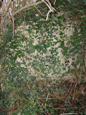 Fonte di Moregnano