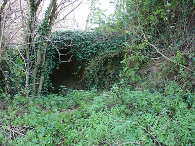 Fonte di Moregnano