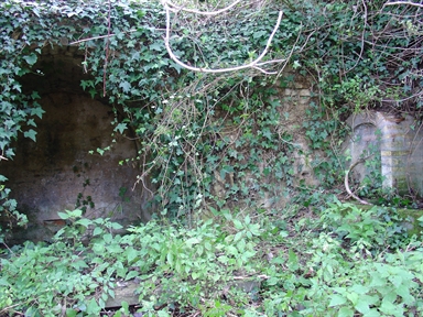 Fonte di Moregnano
