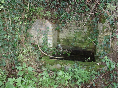 Fonte di Moregnano
