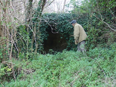 Fonte di Moregnano