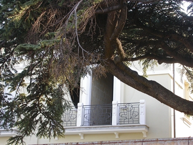 Villa Flajani