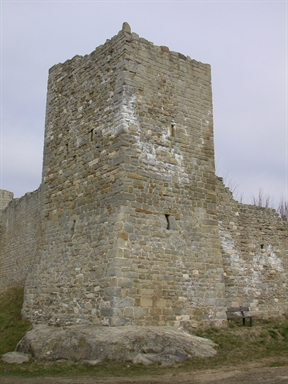 Torre delle Mura castellane