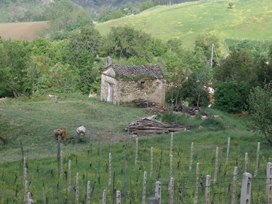 Cappella rurale