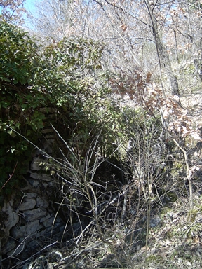 Chiesa della Romitoria