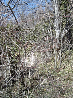 Chiesa della Romitoria