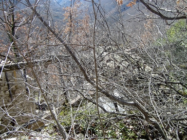 Chiesa della Romitoria
