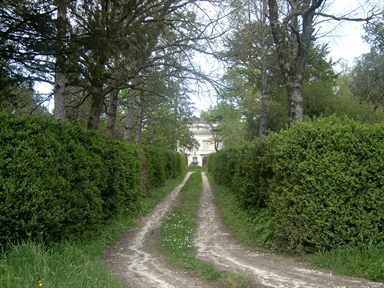 Villa Vincenza