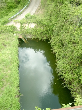 Peschiera di Villa Le Macere