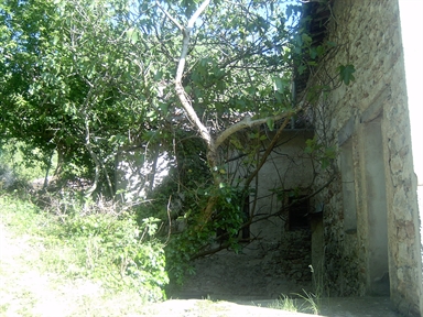 Chiesa di S. Fortunato