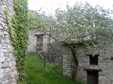 Casa Alfani