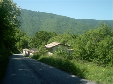 Cimitero comunale di S. Placido