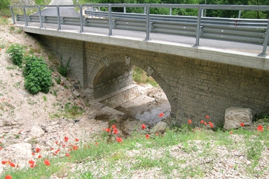 Ponte della S.C. Collattoni-Selvapiana