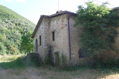 Casa Carioli