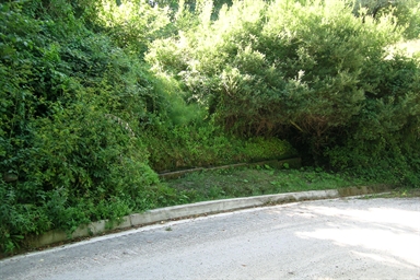 Fonte con abbeveratoio