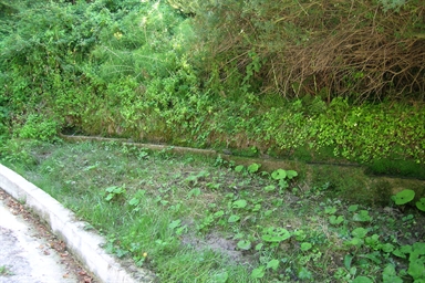 Fonte con abbeveratoio