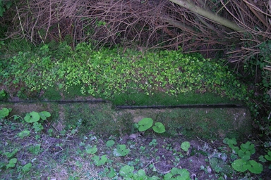 Fonte con abbeveratoio