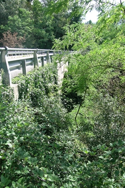 Ponte Falcino