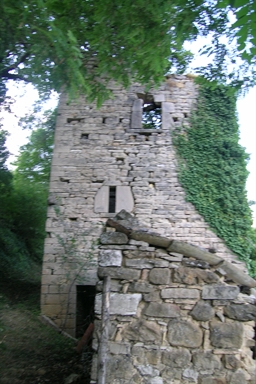 Casa torre