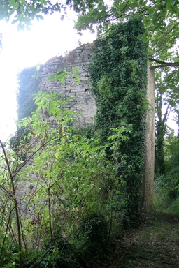 Casa torre