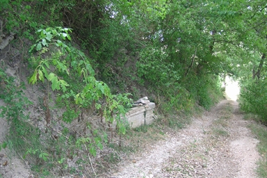 Fonte pubblica