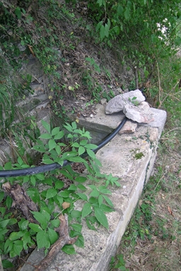 Fonte pubblica