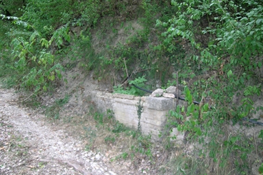 Fonte pubblica