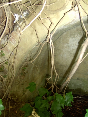 Fonte Pietrara
