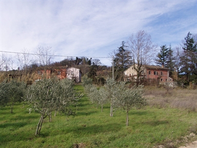 Villa Farroni