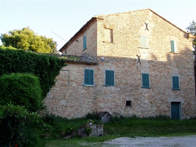 Villa Grande Conti Oliva