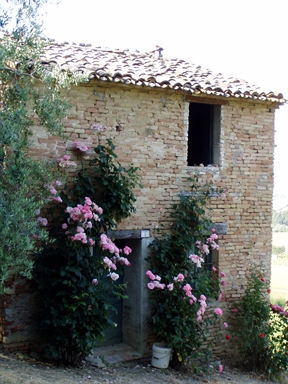 Casa isolata