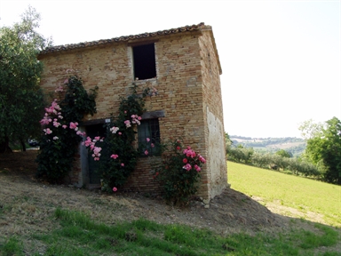 Casa isolata
