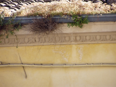 Setificio di Largo Tiratore