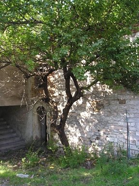 Chiesa della Madonna del Carmine