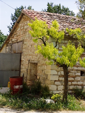 Annesso agricolo del Casino Torricelli