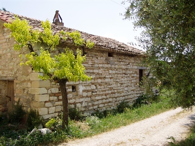 Annesso agricolo del Casino Torricelli