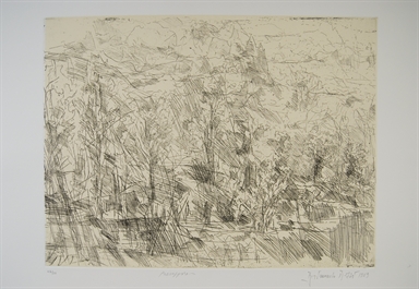 Paesaggio