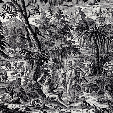 creazione dell'universo