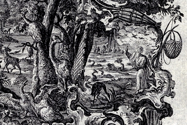 creazione dell'universo