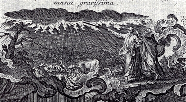 Aronne con Mosè davanti al faraone trasforma la verga in serpente