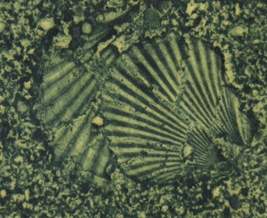 soggetto non identificabile