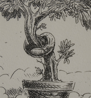 Albero in vaso